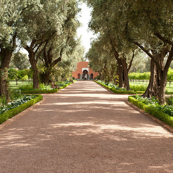 LA MAMOUNIA Marrakech - Maroc Jardin merveilleux #2